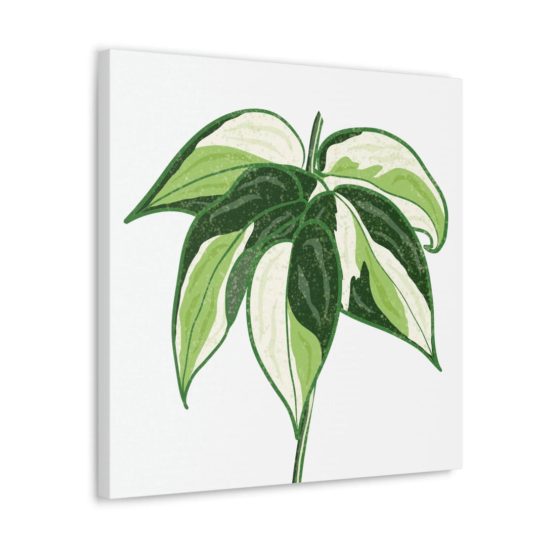Philodendron Canvas Print - Cream Splash Variegated Plant Art on Matte Cotton Canvas