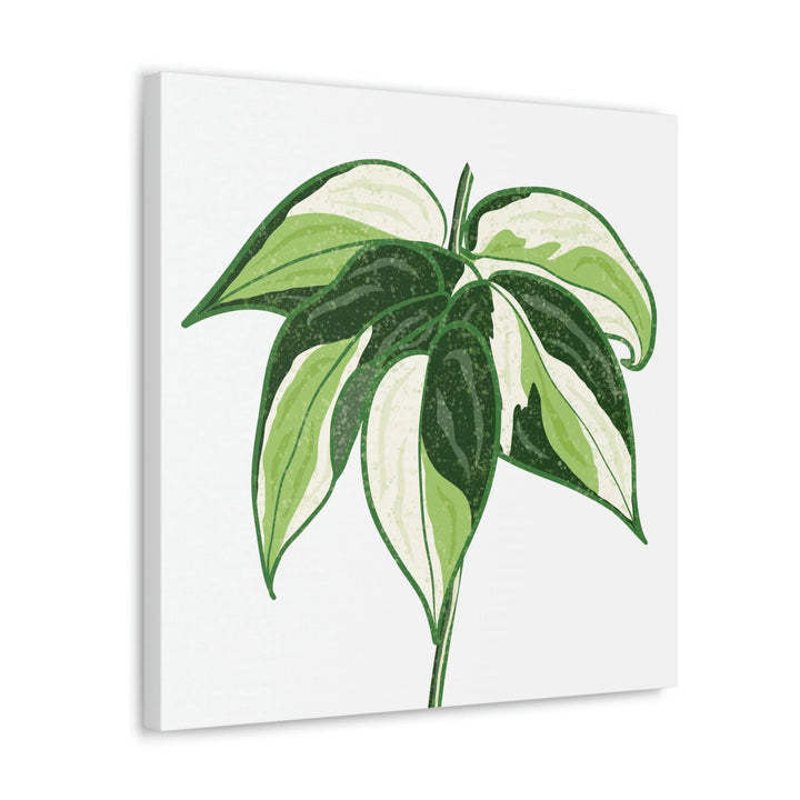 Philodendron Canvas Print - Cream Splash Variegated Plant Art on Matte Cotton Canvas