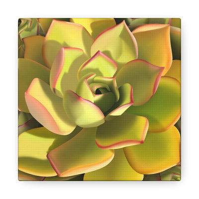 Noble Aeonium Succulent Pattern Canvas, Canvas, Printify, Art & Wall Decor, Canvas, Hanging Hardware, Home & Living, Indoor, Laura Christine Photography & Design, laurachristinedesign.com