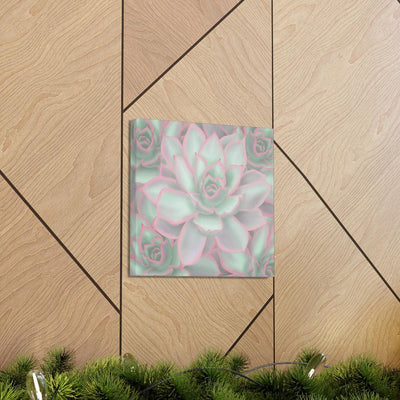 Echeveria Violet Queen Succulent Canvas, Canvas, Laura Christine Photography & Design, Art & Wall Decor, Canvas, Hanging Hardware, Home & Living, Indoor, Laura Christine Photography & Design, laurachristinedesign.com