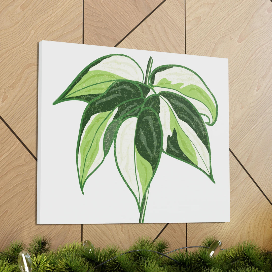 Philodendron Canvas Print - Cream Splash Variegated Plant Art on Matte Cotton Canvas