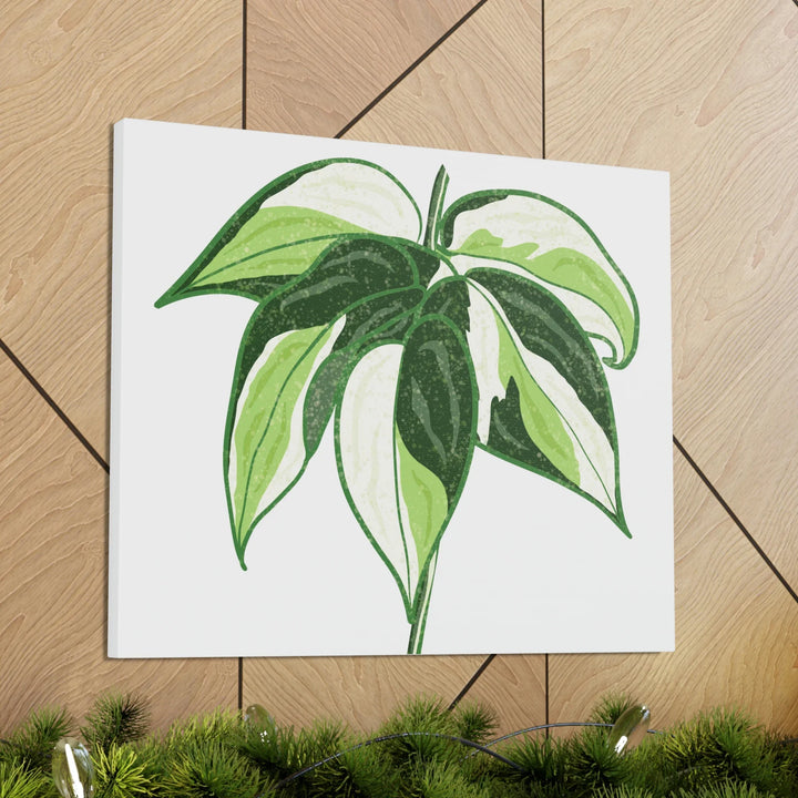 Philodendron Canvas Print - Cream Splash Variegated Plant Art on Matte Cotton Canvas