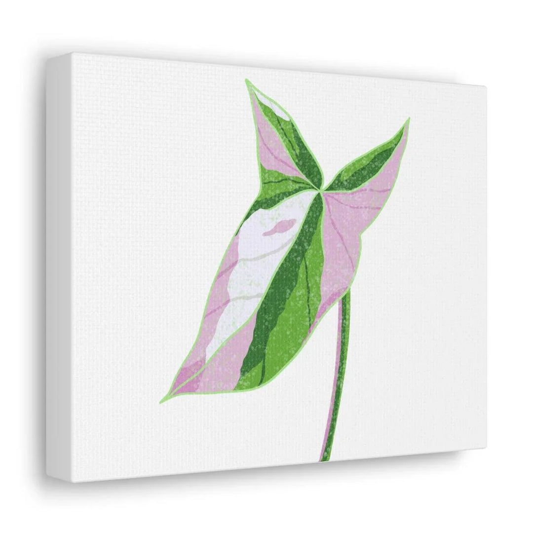 Syngonium Tricolor Canvas | Botanical Canvas Art Print With Matte Finish - Laura Christine Photography & Design