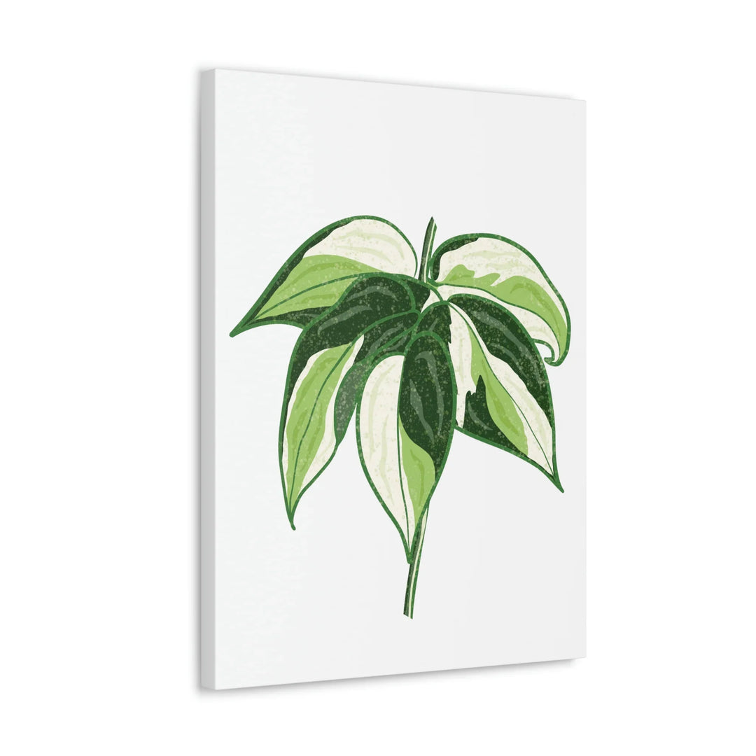 Philodendron Canvas Print - Cream Splash Variegated Plant Art on Matte Cotton Canvas
