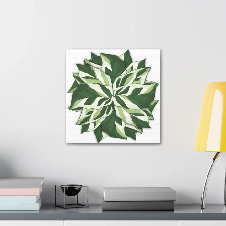 Calathea White Fusion Canvas | Indoor Wall Art - Matte Finish Botanical Canvas Art Print - Laura Christine Photography & Design