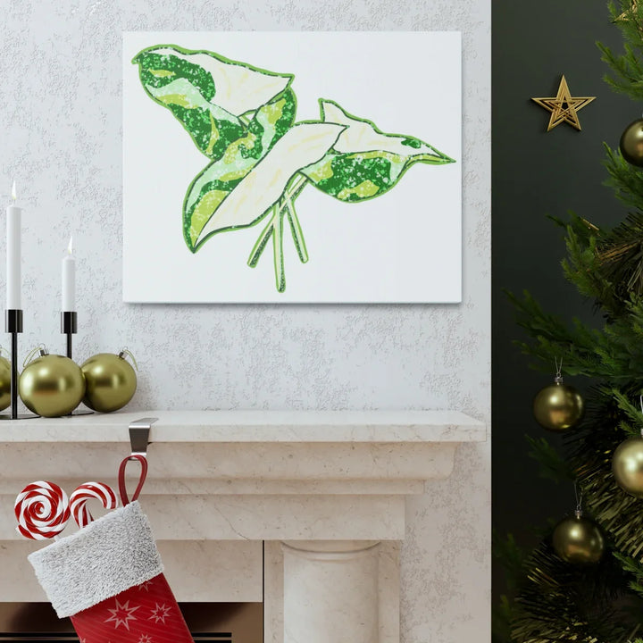 Marble Syngonium Canvas - Botanical Canvas Art Print | Durable Cotton Matte Finish - Laura Christine Photography & Design