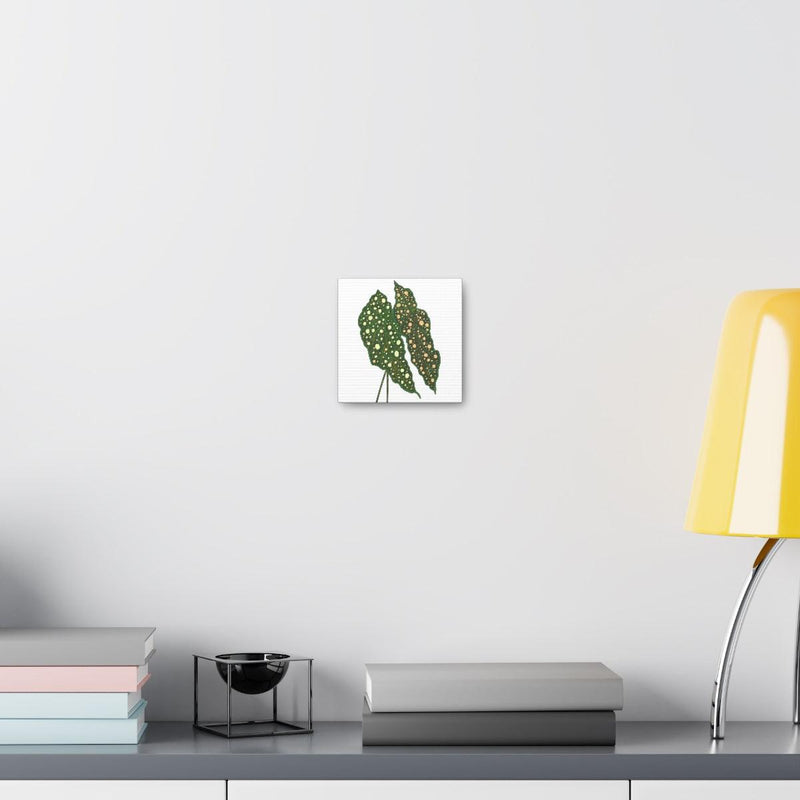 Begonia Maculata Canvas, Canvas, Laura Christine Photography & Design, Art & Wall Decor, Canvas, Hanging Hardware, Home & Living, Indoor, Laura Christine Photography & Design, 