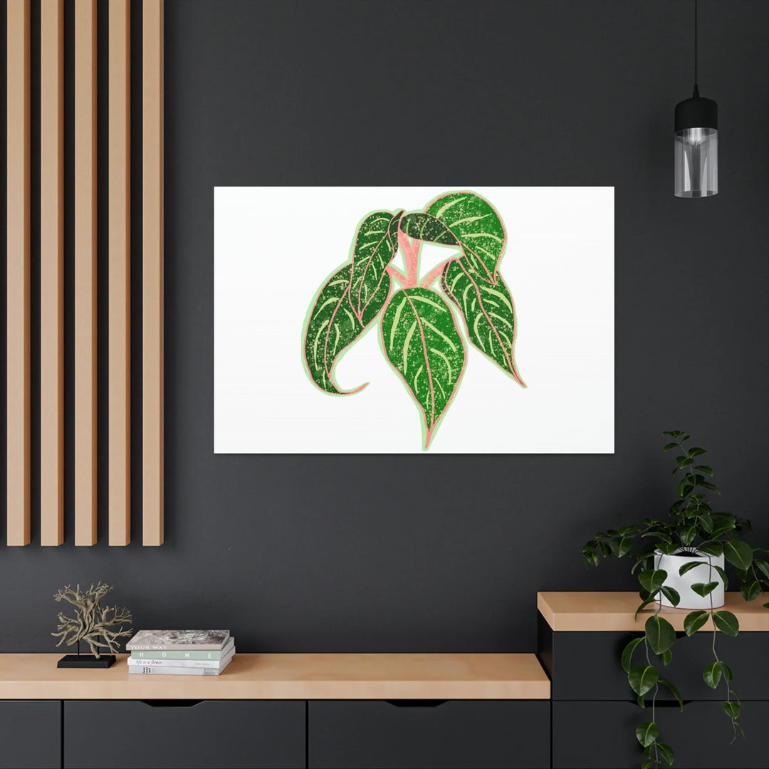 Aglaonema Plant Canvas | Sparkling Plant Artwork - Colorfast Canvas Art Print Decor