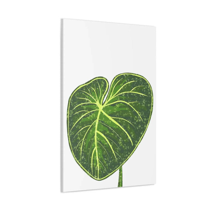 Philodendron Gloriosum Canvas - Stretched Canvas Art Print | Matte Indoor Wall Art - Laura Christine Photography & Design