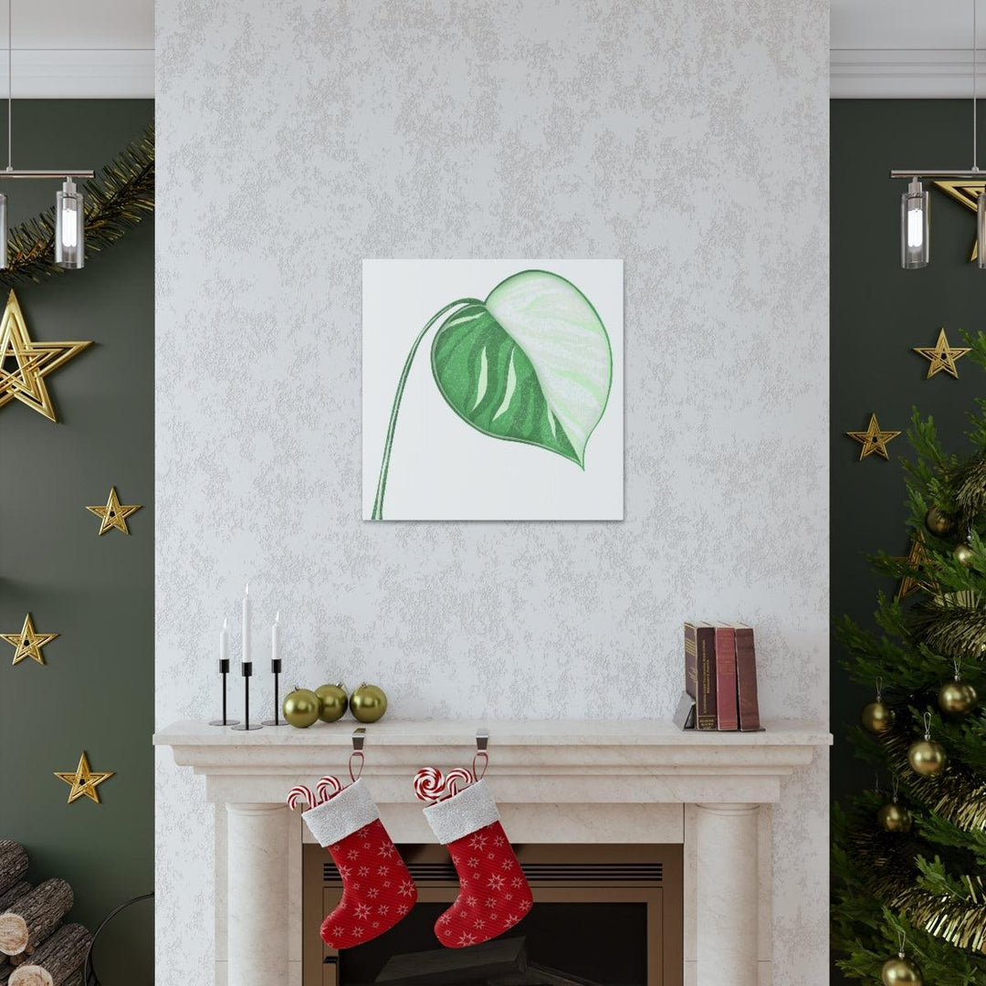 Monstera Albo Canvas | Large Tropical Leaf Artwork - Matte Finish Canvas Art Print - Laura Christine Photography & Design