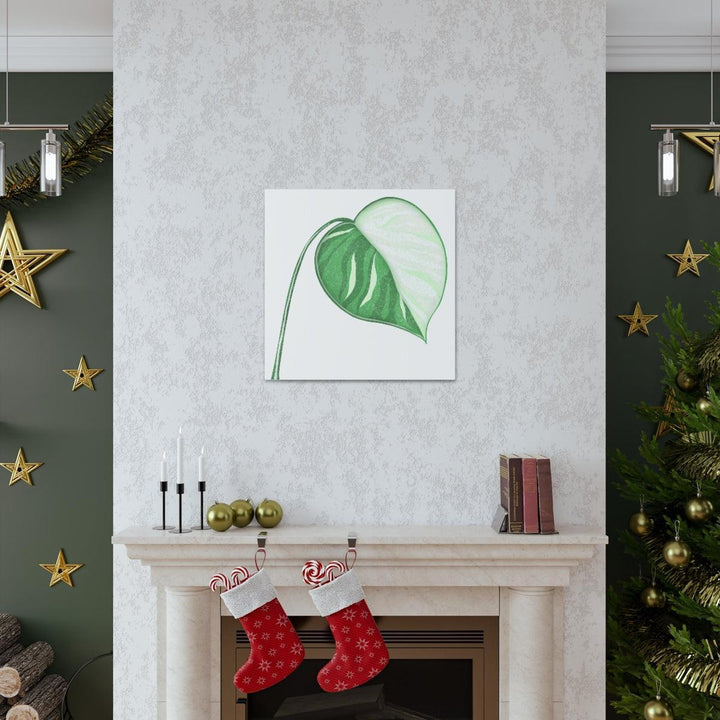 Monstera Albo Canvas | Large Tropical Leaf Artwork - Matte Finish Canvas Art Print - Laura Christine Photography & Design