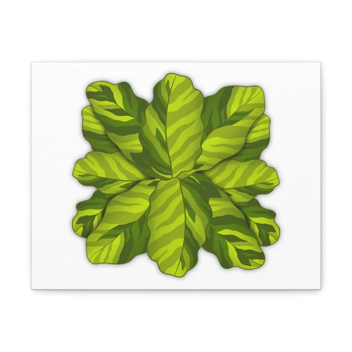 Calathea Yellow Fusion Canvas – Botanical Canvas Print With Unique Leaf Pattern Art - Laura Christine Photography & Design