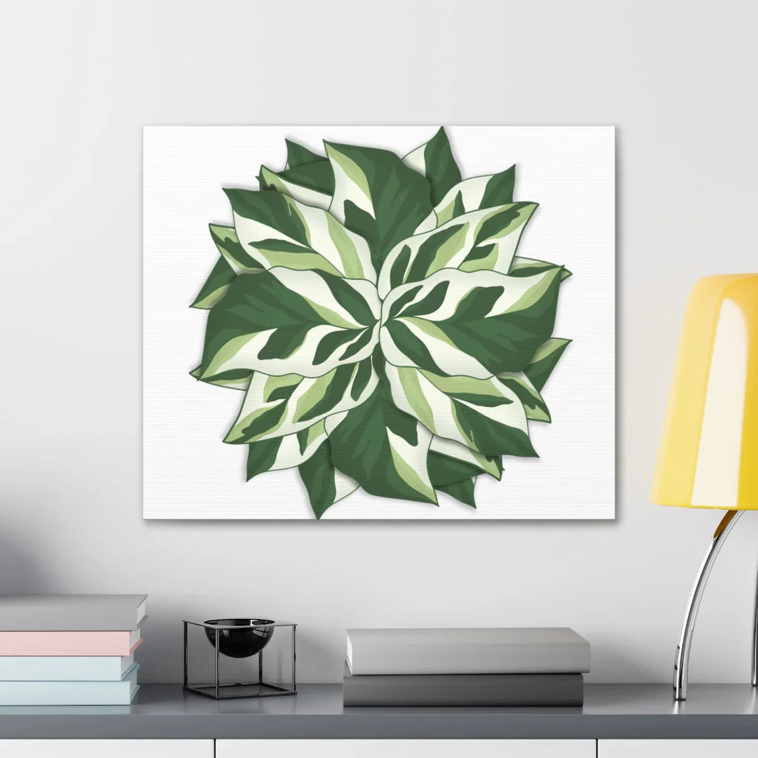Calathea White Fusion Canvas | Indoor Wall Art - Matte Finish Botanical Canvas Art Print - Laura Christine Photography & Design