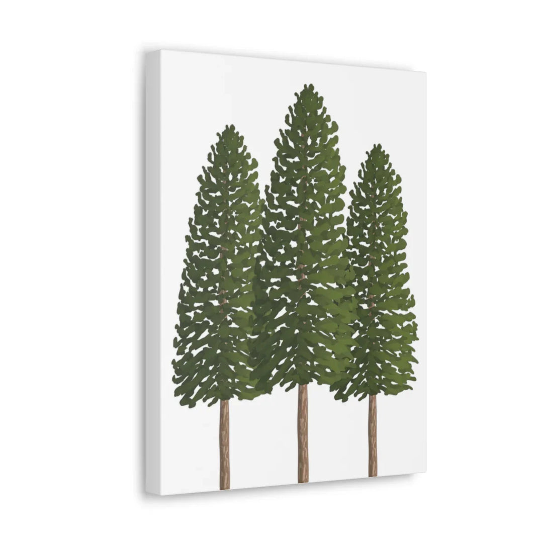 Ponderosa Pine Canvas - Large Stretched Cotton Canvas Art Print With Matte Finish