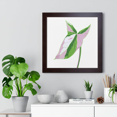 Syngonium Tricolor Framed Print, Poster, Laura Christine Photography & Design, Framed, Home & Living, Indoor, Paper, Posters, Laura Christine Photography & Design, laurachristinedesign.com