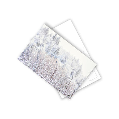 Blue Bird in a Snowy Forest - Postcard, 10-pack, Paper products, Printify, Back to School, Home & Living, Indoor, Matte, Paper, Posters, Laura Christine Photography & Design, laurachristinedesign.com