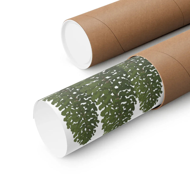 Ponderosa Pine Print | Large Pine Tree Poster on Museum Grade Paper Art Unframed