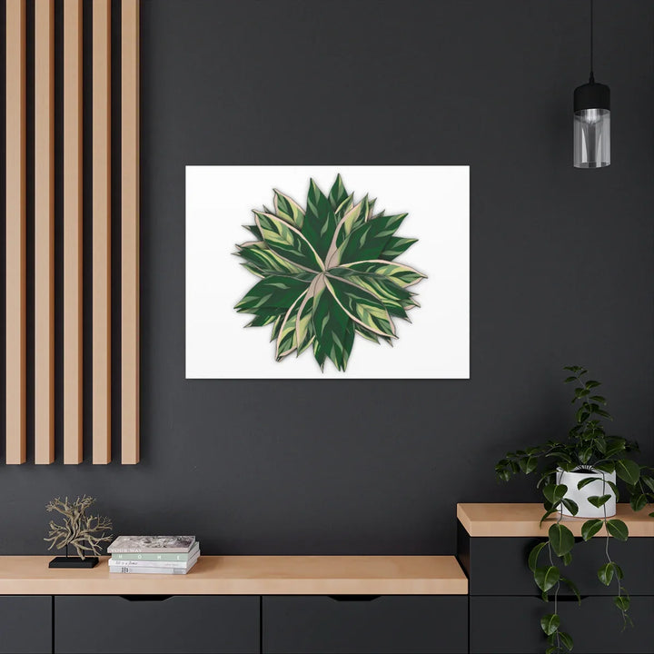 Stromanthe Triostar Canvas - Pastel Stripe Canvas Art Print With Vivid Color Artwork - Laura Christine Photography & Design