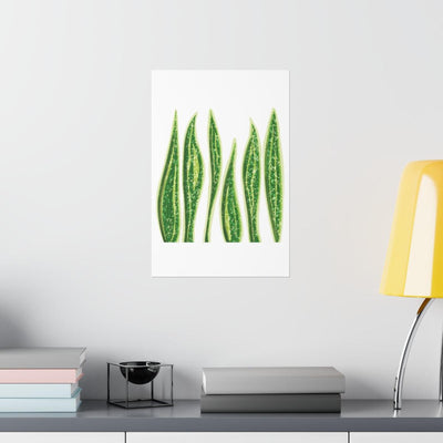 Snake Plant Print, Poster, Laura Christine Photography & Design, Back to School, Home & Living, Indoor, Matte, Paper, Posters, Valentine's Day promotion, Laura Christine Photography & Design, laurachristinedesign.com