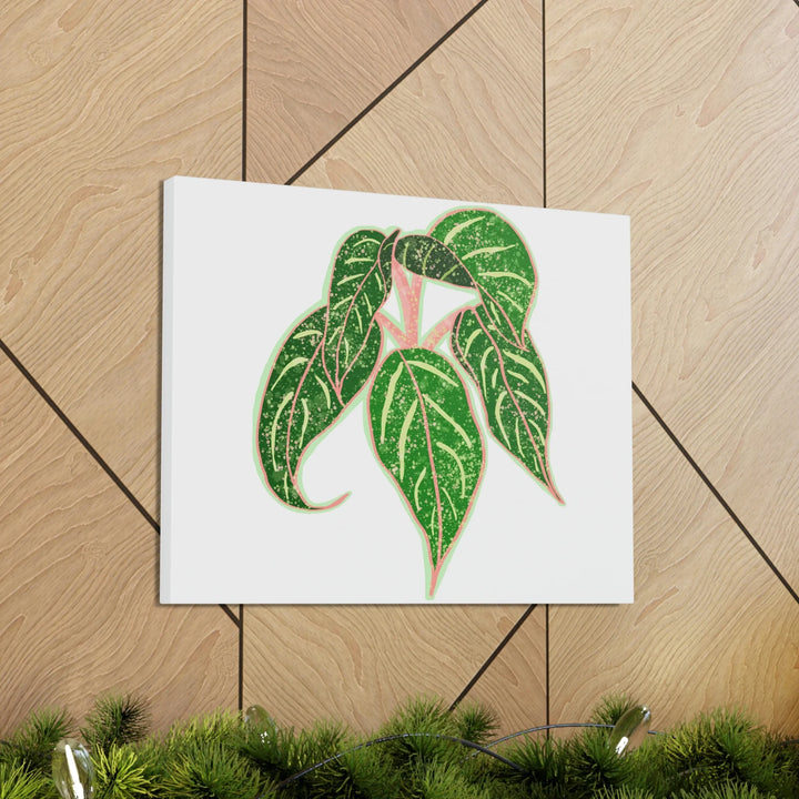 Aglaonema Plant Canvas | Sparkling Plant Artwork - Colorfast Canvas Art Print Decor