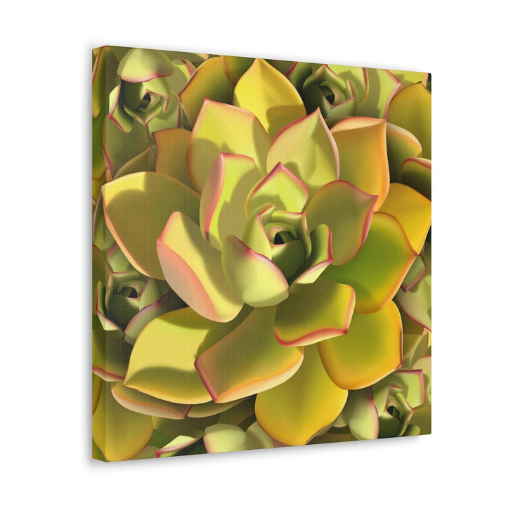 Noble Aeonium Succulent Pattern Canvas, Canvas, Printify, Art & Wall Decor, Canvas, Hanging Hardware, Home & Living, Indoor, Laura Christine Photography & Design, laurachristinedesign.com