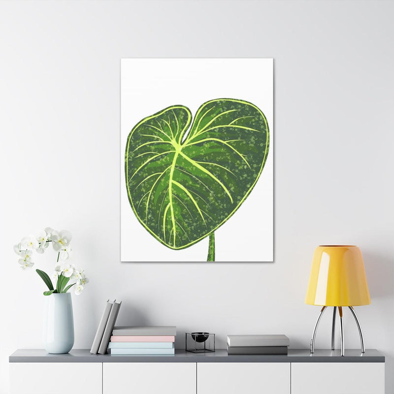 Philodendron Gloriosum Canvas, Canvas, Laura Christine Photography & Design, Art & Wall Decor, Canvas, Hanging Hardware, Home & Living, Indoor, Laura Christine Photography & Design, 