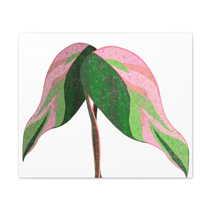 Pink Princess Philodendron Canvas Art Print – Botanical Wall Decor | Matte Finish