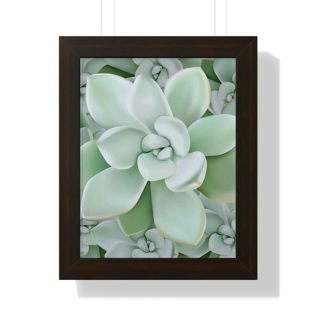 Pachyveria Haagei Succulent Pattern Framed Print, Poster, Printify, Framed, Home & Living, Indoor, Paper, Posters, Laura Christine Photography & Design, laurachristinedesign.com