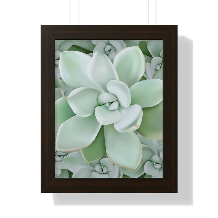 Pachyveria Haagei Succulent Pattern Framed Print, Poster, Printify, Framed, Home & Living, Indoor, Paper, Posters, Laura Christine Photography & Design, laurachristinedesign.com