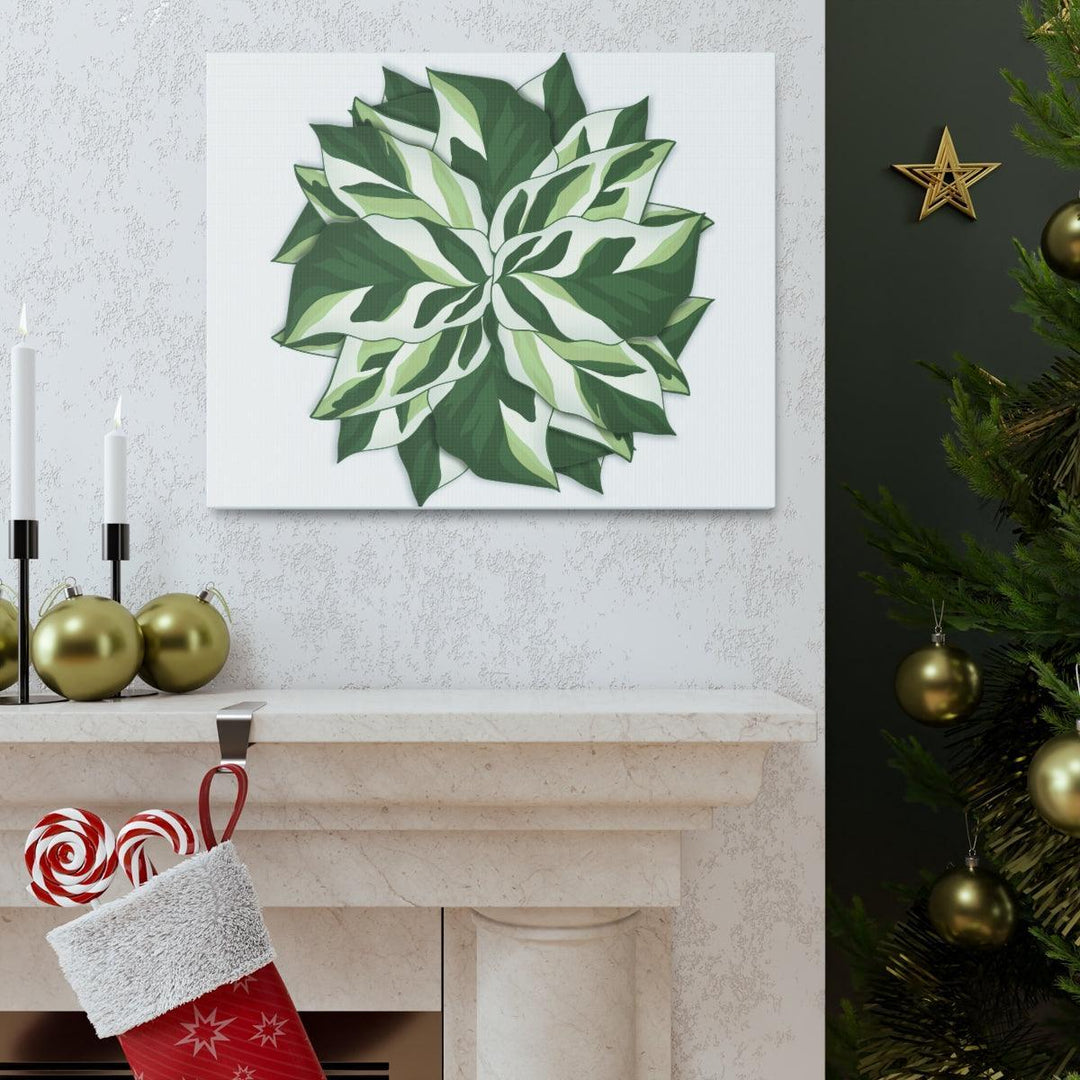 Calathea White Fusion Canvas | Indoor Wall Art - Matte Finish Botanical Canvas Art Print - Laura Christine Photography & Design