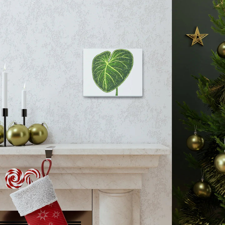 Philodendron Gloriosum Canvas - Stretched Canvas Art Print | Matte Indoor Wall Art - Laura Christine Photography & Design