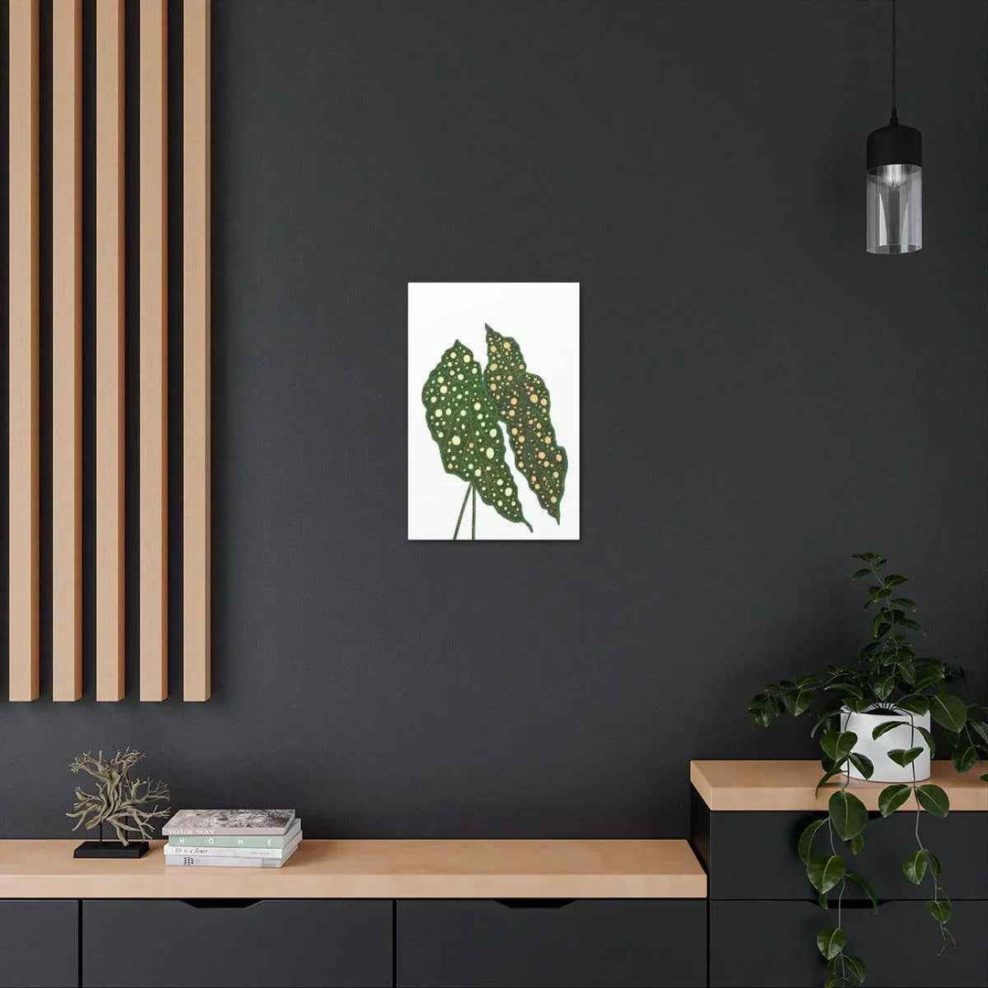 Begonia Maculata Canvas | Premium Canvas Art Print - Matte Finish, Durable Wall Decor