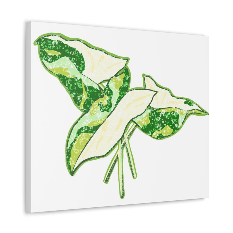 Marble Syngonium Canvas