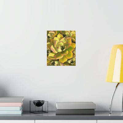 Noble Aeonium Succulent Pattern Print, Poster, Printify, Back to School, Home & Living, Indoor, Matte, Paper, Posters, Valentine's Day promotion, Laura Christine Photography & Design, laurachristinedesign.com