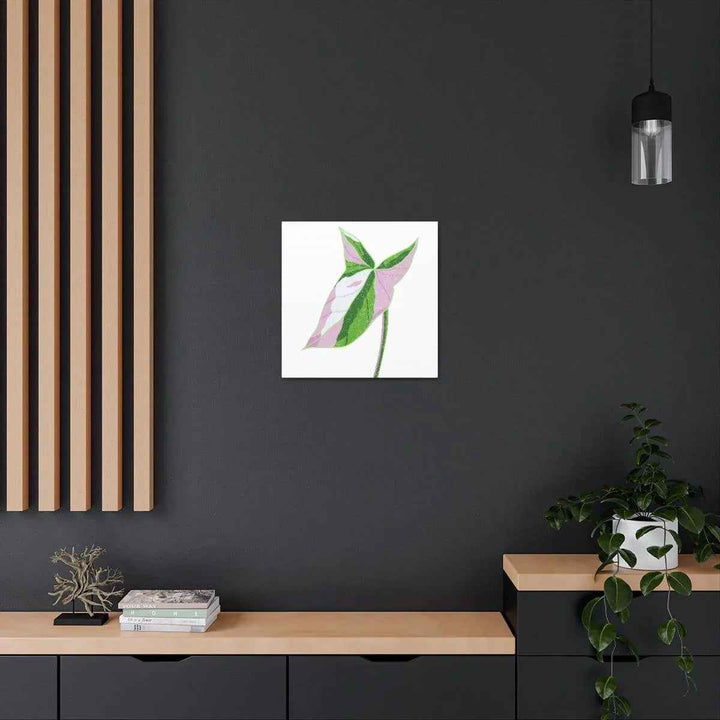 Syngonium Tricolor Canvas | Botanical Canvas Art Print With Matte Finish