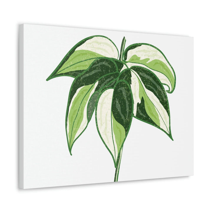 Philodendron Canvas Print - Cream Splash Variegated Plant Art on Matte Cotton Canvas