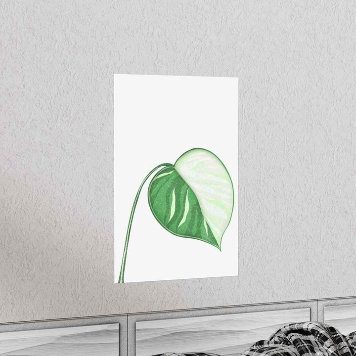 Monstera Albo Print – Large Tropical Leaf Poster | Museum Grade Paper Artwork Unframed