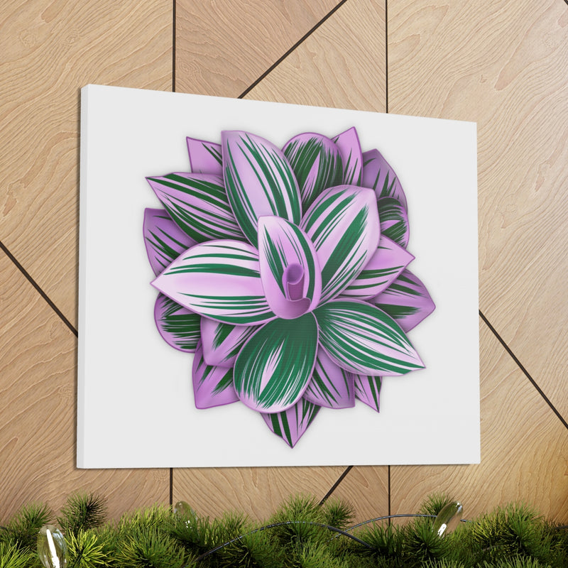 Tradescantia Nanouk Canvas