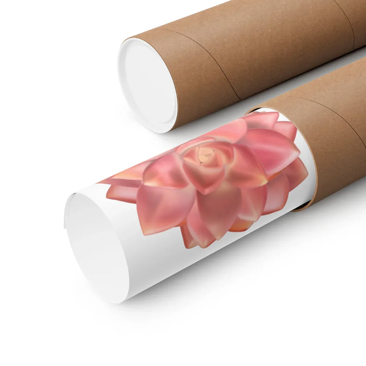 Succulent Wall Art – California Sunset Succulent Print | Matte Paper Poster Unframed