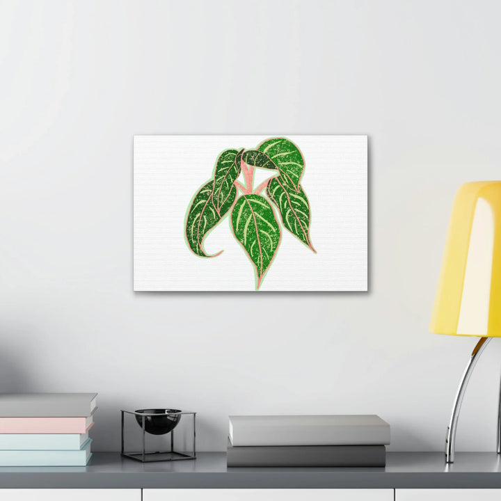 Aglaonema Plant Canvas | Sparkling Plant Artwork - Colorfast Canvas Art Print Decor