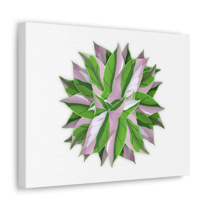 Tricolor Syngonium Canvas - Durable Canvas Art Print With Matte Finish & Botanical Design - Laura Christine Photography & Design