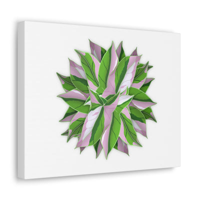 Tricolor Syngonium Canvas