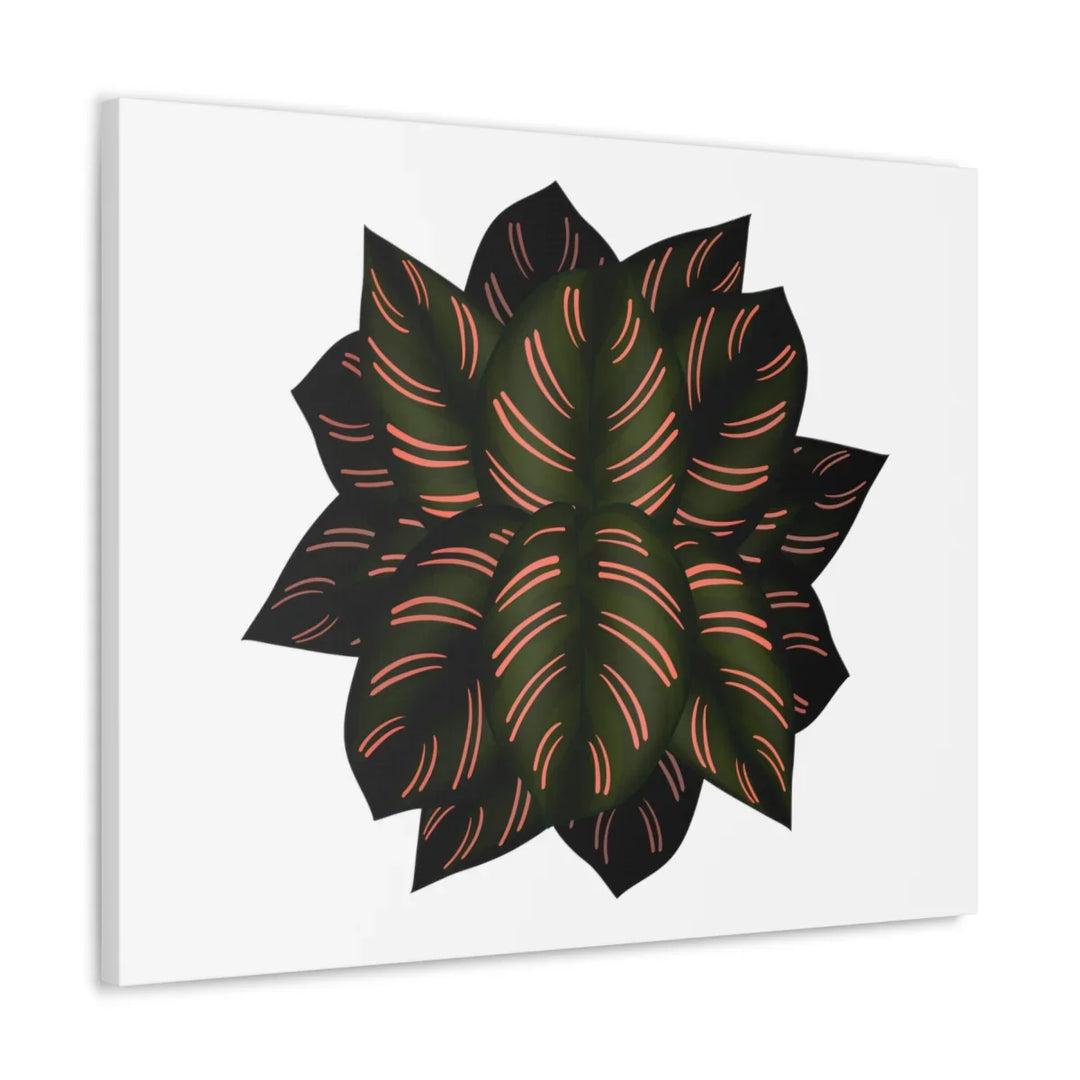 Calathea Pinstripe Canvas – Botanical Canvas Art Print | Matte Finish Wall Decor