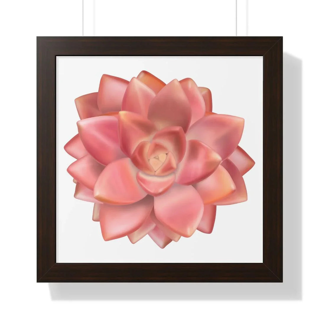 Graptosedum 'California Sunset' Succulent Framed Print, Poster, Laura Christine Photography & Design, Framed, Home & Living, Indoor, Paper, Posters, Laura Christine Photography & Design, laurachristinedesign.com