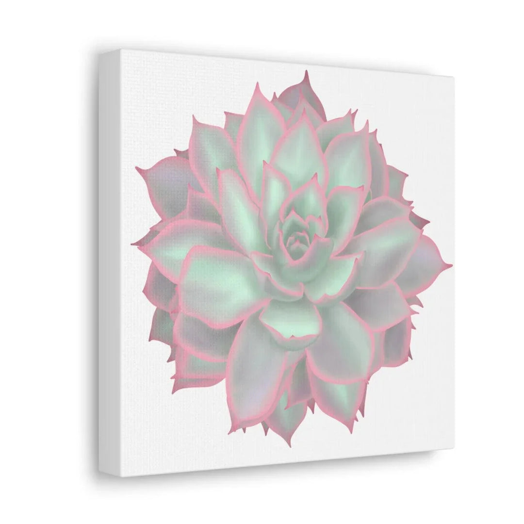 Echeveria Violet Queen Succulent Canvas, Canvas, Laura Christine Photography & Design, Art & Wall Decor, Canvas, Hanging Hardware, Home & Living, Indoor, Laura Christine Photography & Design, laurachristinedesign.com