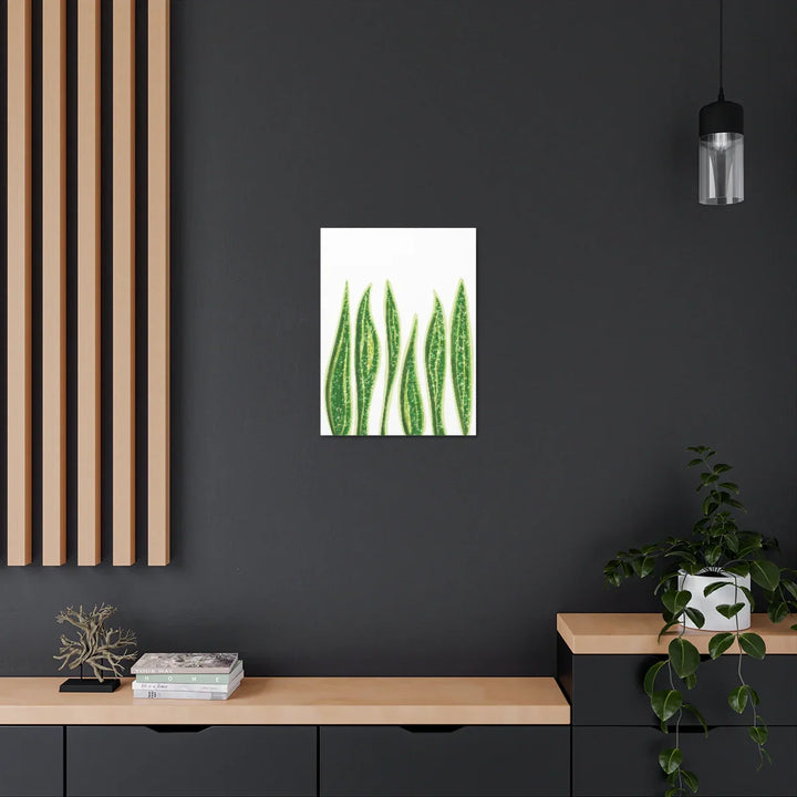 Snake Plant Canvas | Botanical Canvas Decor - Matte Finish Artwork for Living Room - Laura Christine Photography & Design