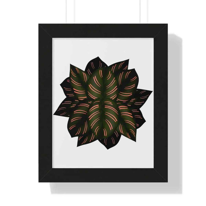 Calathea Pinstripe Print - Framed Botanical Art With Matte Finish & Acrylic Cover