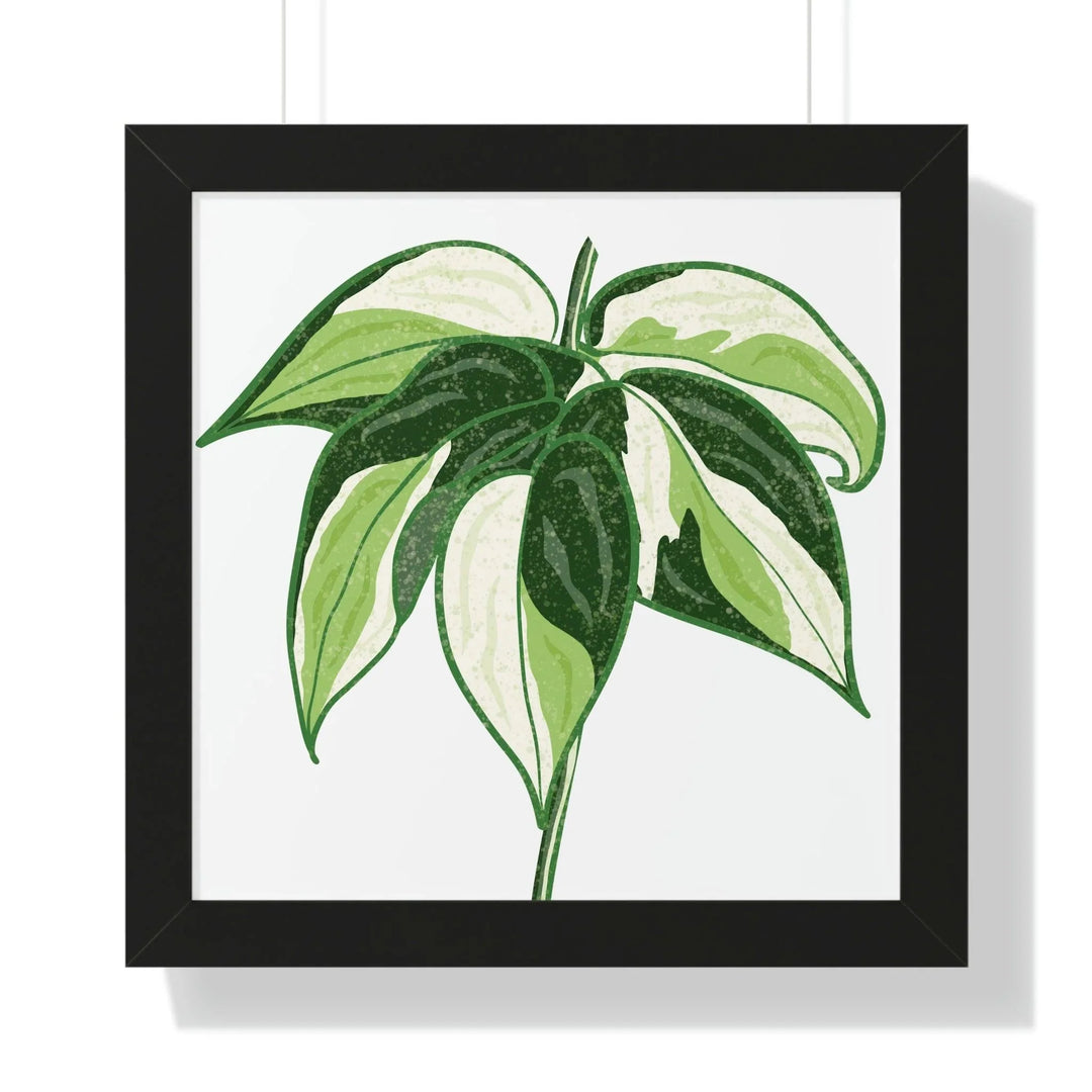 Philodendron 'Cream Splash' Framed Print, Poster, Printify, Framed, Home & Living, Indoor, Paper, Posters, Laura Christine Photography & Design, laurachristinedesign.com