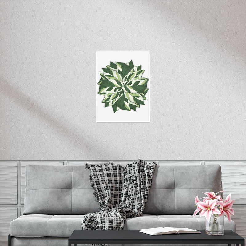 Calathea White Fusion Print, Poster, Laura Christine Photography & Design, Back to School, Bottle, Calathea, Canvas Bag, Coffee, Drinkware, Home & Living, Indoor, Matte, Paper, Posters, Prayer Plant, Reusable, Shopping Bag, Tea, Tote Bag, Travel, Tumbler, Valentine&