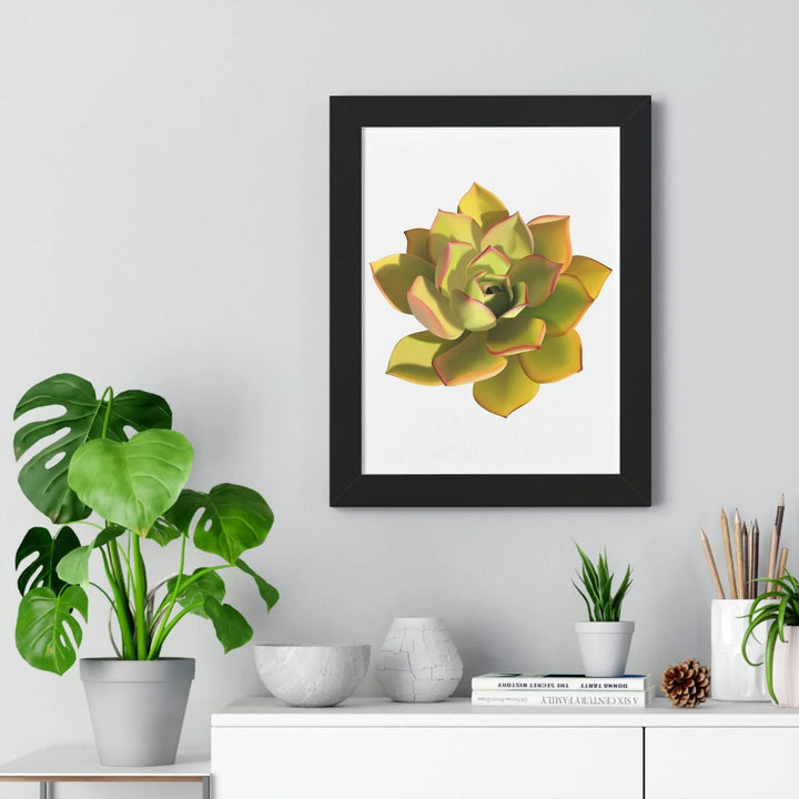Noble Aeonium Succulent Framed Print, Poster, Printify, Framed, Home & Living, Indoor, Paper, Posters, Laura Christine Photography & Design, laurachristinedesign.com